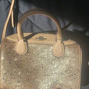 Mini coach purse
